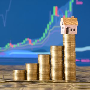 Investing in Real Estate