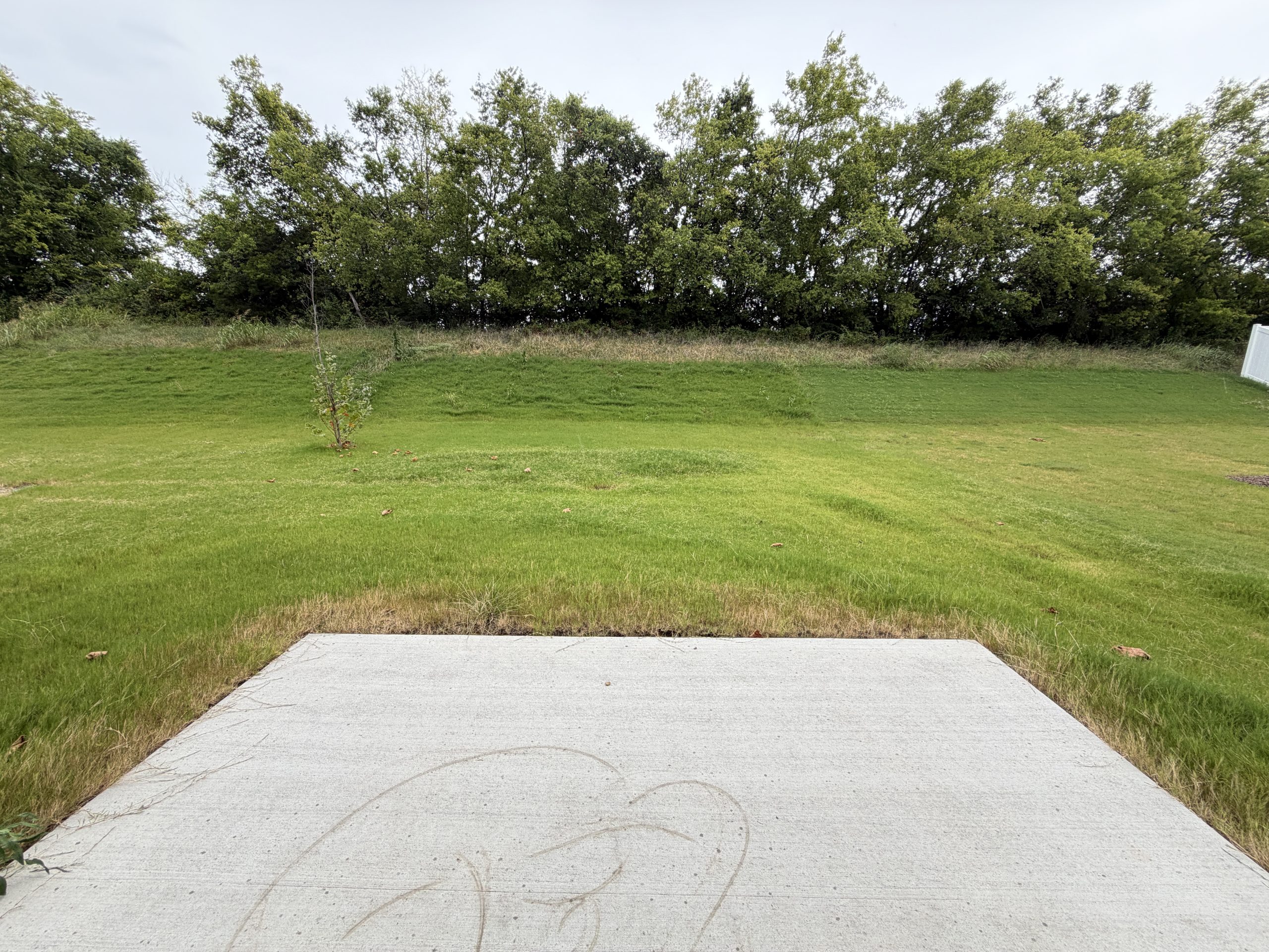 Wide view of a grassy park with a concrete path at the bottom and a row of trees in the distance under a cloudy sky.